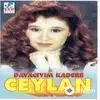Ceylan  - Ayırdı Sevenleri