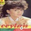 Ceylan  - Sen Olsan Çeker Misin