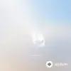 Julien Marchal - Insight I