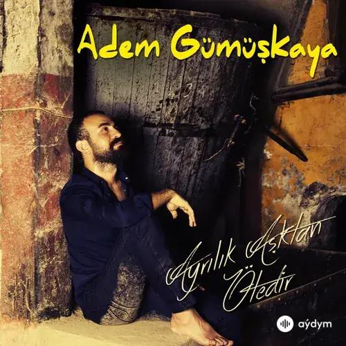 Adem Gümüşkaya - Kış Masalı