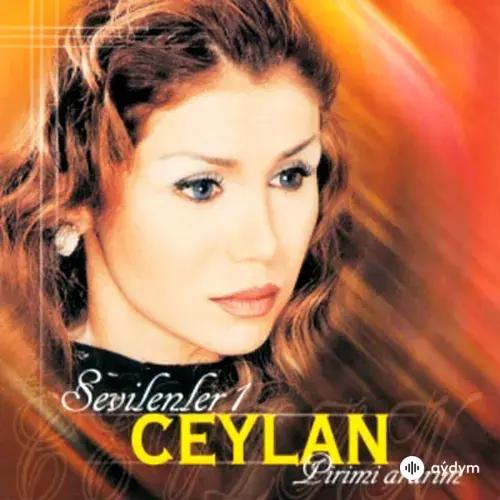 Sevilenler, Vol. 1 (Pirimi Ararım)