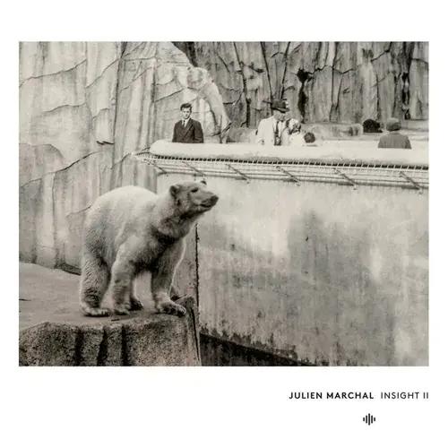 Julien Marchal - Insight XIV