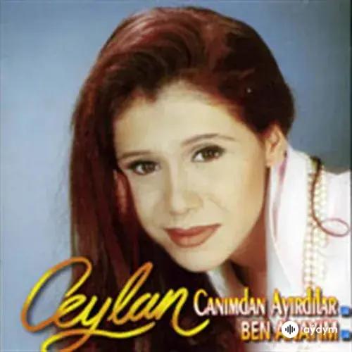 Canımdan Ayırdılar / Ben Anayım