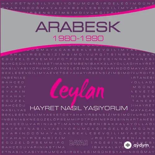 Hayret Nasıl Yaşıyorum (Arabesk 1980-1990)