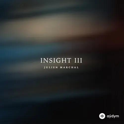 Insight III