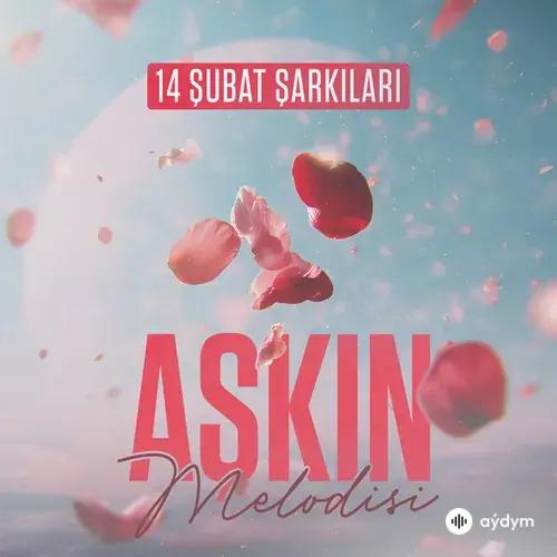 Aşkın Melodisi: 14 Şubat Şarkıları