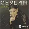 Ceylan  - Antebin Hamamları