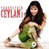Ceylan  - Arguvan'a Gidemem