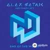 Alex Metric -Charli XCX  - End Of The World