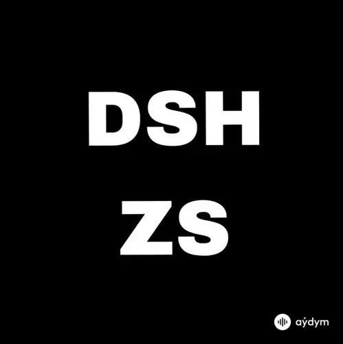 DSHZS