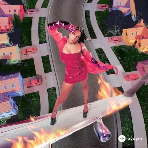 i used to think i could fly