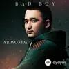 Bad Boy - Armonim