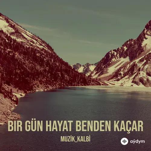 Muzik_kalbi - Bir Gün Hayat Benden Kaçar