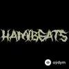 AKXNESHIVA-Avenxir-HamiBeats - Montagem Unknown