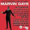 Marvin Gaye - Stubborn Kind Of Fellow