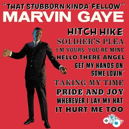 That Stubborn Kinda' Fellow