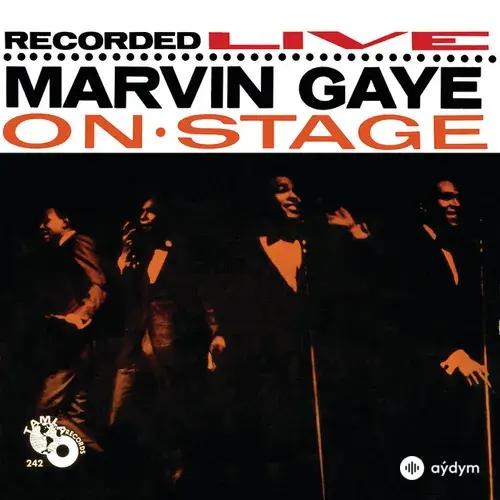 Recorded Live: Marvin Gaye On Stage