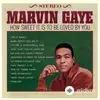 Marvin Gaye - You're A Wonderful One