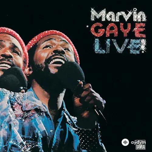 Marvin Gaye Live!