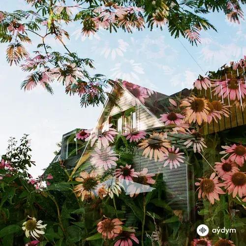 Третья жизнь