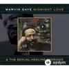 Marvin Gaye - Midnight Lady
