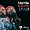 Marvin Gaye - Introduction - Live At Oakland Coliseum, CA / 1974