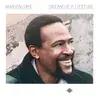 Marvin Gaye - Sanctified Lady
