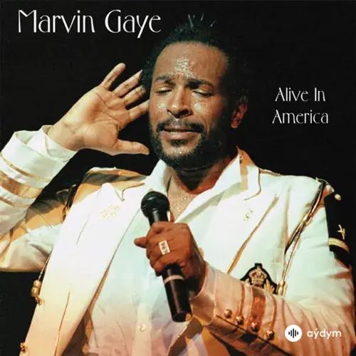 Marvin Gaye - Inner City Blues