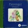 Passenger - Fear of Fear
