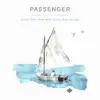 Passenger - Bird in Flight
