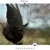 Passenger - The Last Unicorn