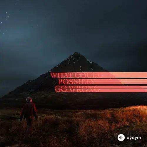 What Could Possibly Go Wrong