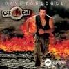 Davut Güloglu - Çat Çat