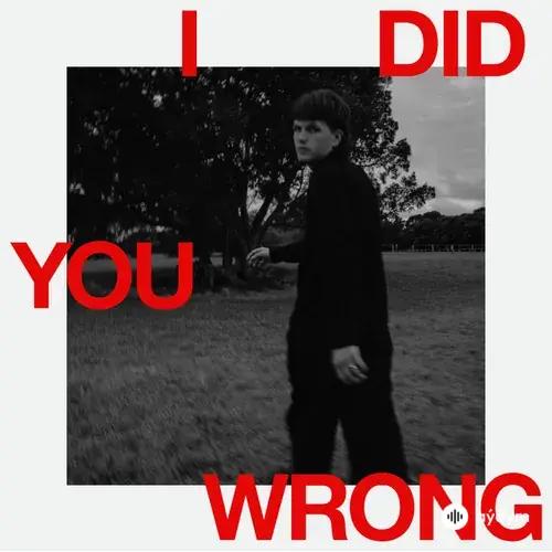 Harry Hayes - I Did You Wrong