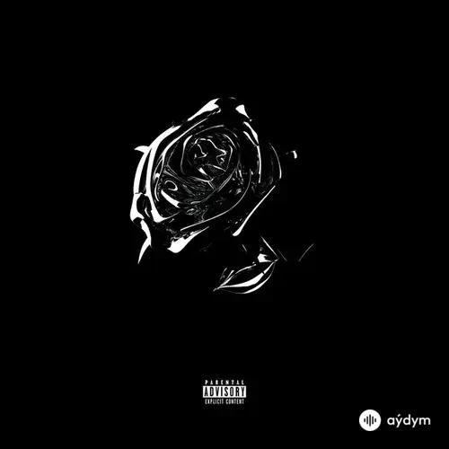 Shoot For The Stars Aim For The Moon