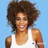 Whitney Houston - I Will Always Love You