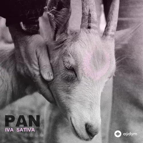 Iva Sativa - Pan