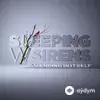 Sleeping With Sirens - An Ending In Itself