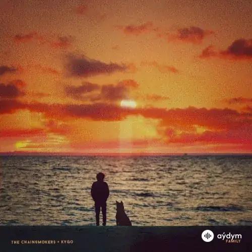 The Chainsmokers -Kygo - Family