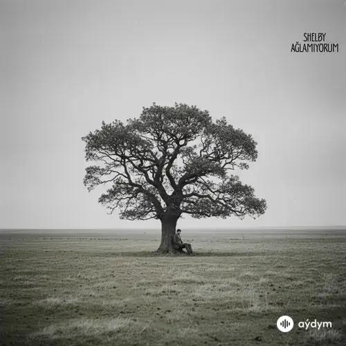 Shelby  - Ağlamıyorum