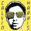 Calvin Harris - Acceptable in the 80's - Live Session