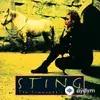 Sting - If I Ever Lose My Faith In You