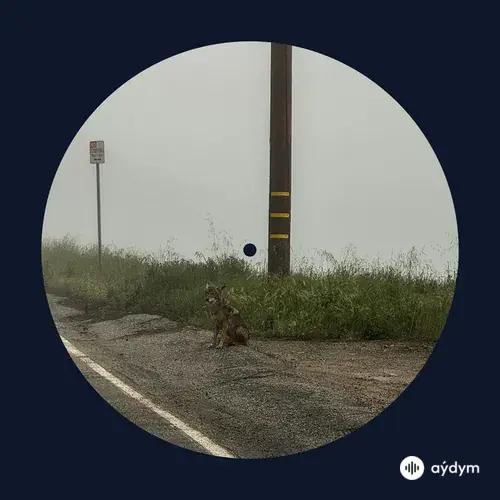 Dominic Fike - Hi Grace