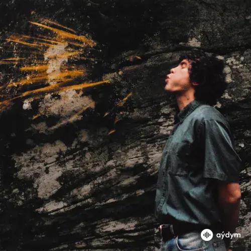 Dominic Fike - Sandman