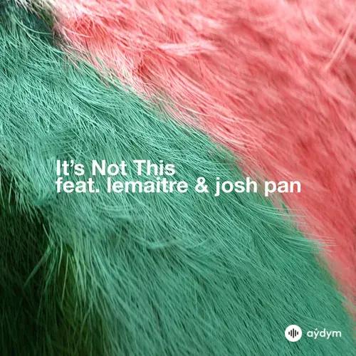 Bearson-Lemaitre-josh pan - It's Not This