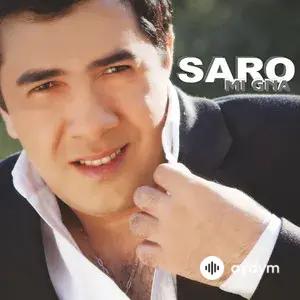 Saro  Tovmasyan - Erku Enker