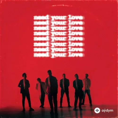 OneRepublic - Need Your Love