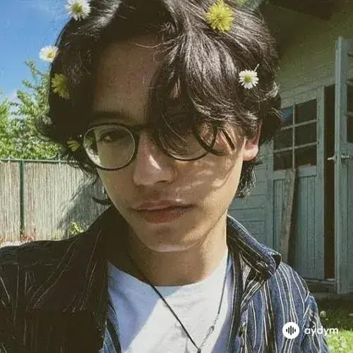 justin degryse - lovely 