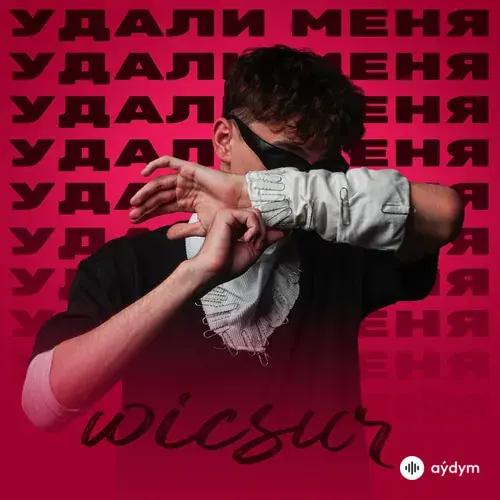 Wicsur - Удали меня