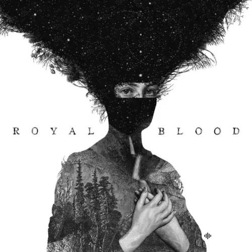 Royal Blood  - Out of the Black
